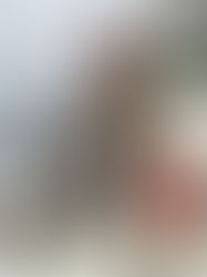 5/17 limits again!!!!