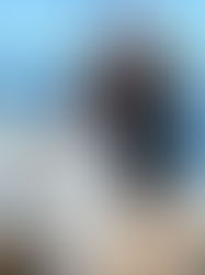 6/17/25 Pacific's are here and eating