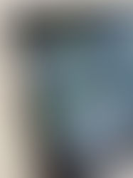 Keeping busy late January