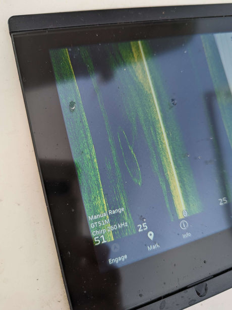 Keeping busy late January