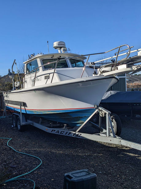 Home for the holidays