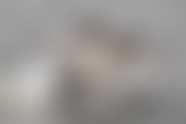 Foto #216 | Vechtende futen 3