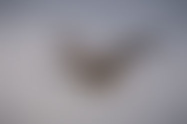 Foto #199 | Ooghoogte (2)