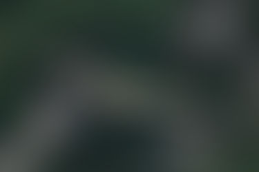 Foto #316 | Vale Gier 1