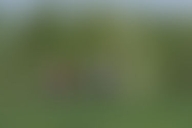 Foto #227 | Klederdracht