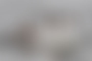 Foto #219 | Vechtende futen 6