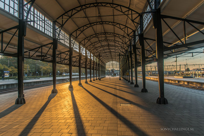 Foto #331 | Sunset