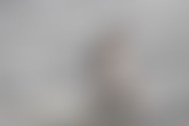 Foto #217 | Vechtende futen 4