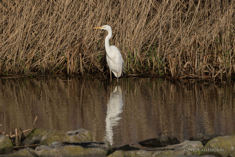 Foto #121 | Wachten