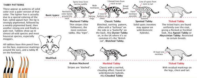 Robes du chat marquages tabby.png