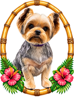 Yorkie in a Tropical Bamboo Frame (1).png