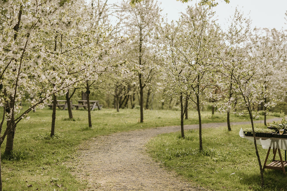 bilde av naturen