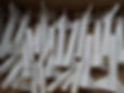 20121021_124324.jpg