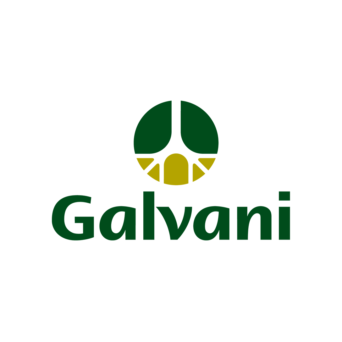 galvani.png
