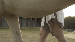 LEGS 04.jpeg