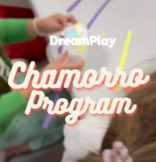 DreamPlay Rate & Schedule 2025 (3).jpg