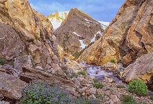 Home of Water Ouzels