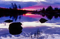 Early Wake Up Call.jpg