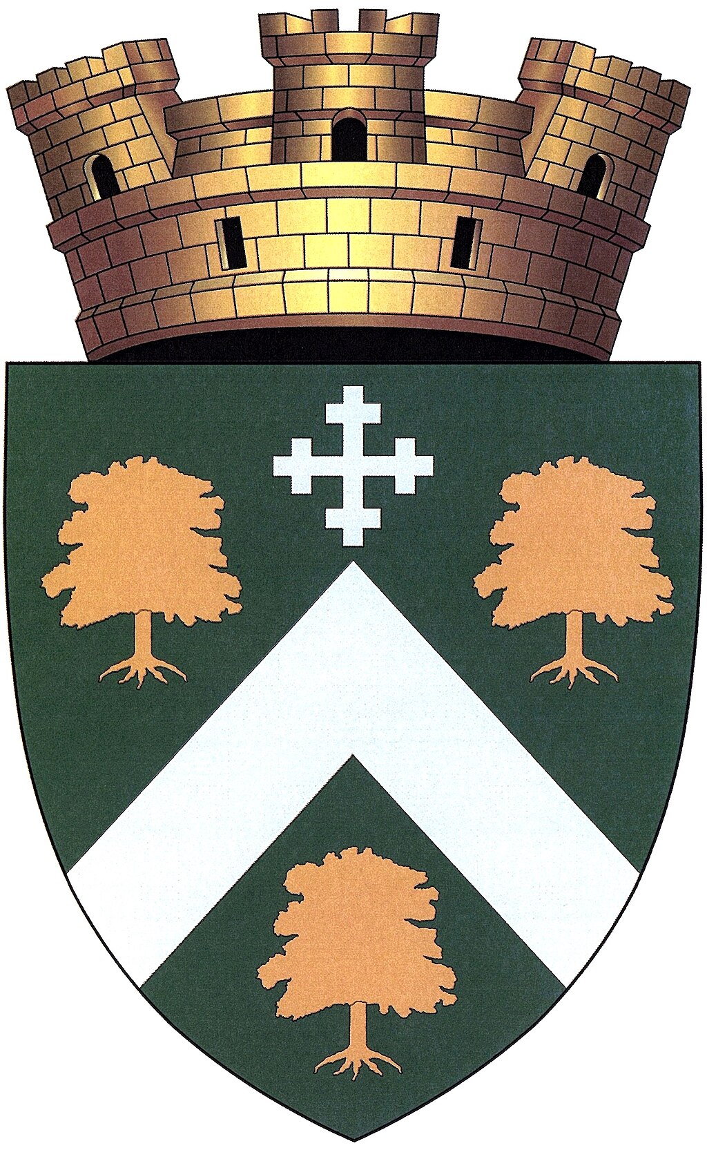 Poza scriitorului: Primăria Criuleni