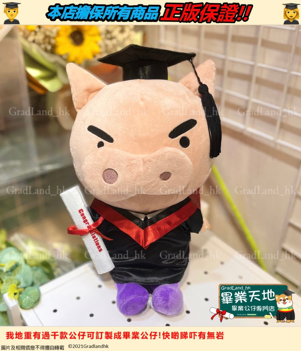 不理不理左衛門畢業公仔