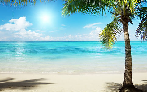 Mozambique News & Events | African Dreams Photo Safaris