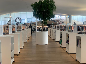 Helsinki_library (8).jpg