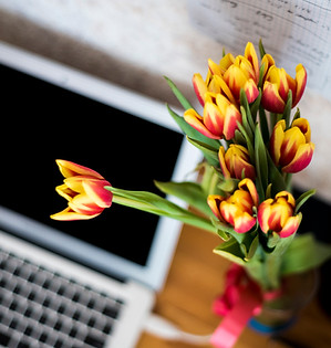 Laptop and Flowers