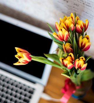 Laptop and Flowers