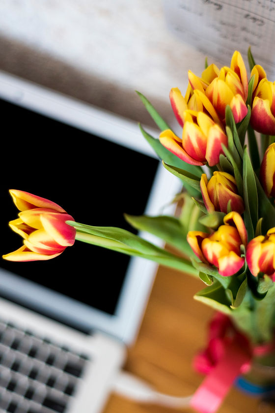 Laptop and Flowers