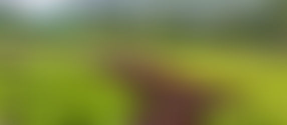 Go2Green Exotic Vegetables Ooty(The Nilgiris)-Kenny Cliford E