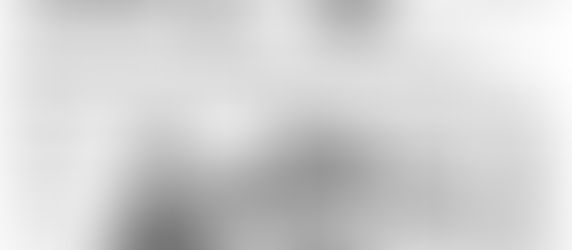 Le cabinet dans la Dépêche du Midi (Aude)