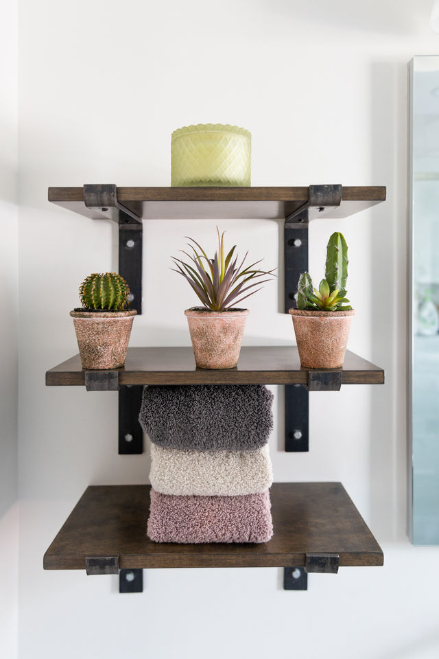 succulents, edited look 2.jpg