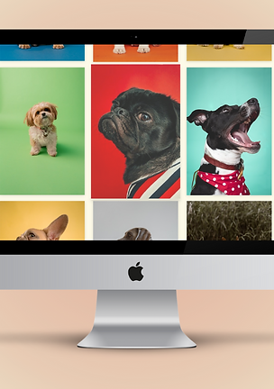 Beige Light Brown, Aesthetic Reminder Instagram Post (8).png