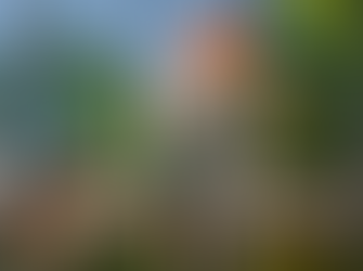 'ഒഴിച്ചില്'