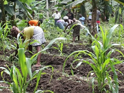 അദ്ധ്വാനമേ സംതൃപ്തി