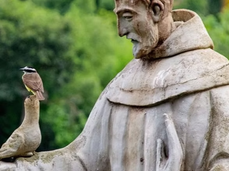 അസ്സീസിയിലെ ഫ്രാന്‍സിസും ഈജിപ്തിലെ സുല്‍ത്താനും