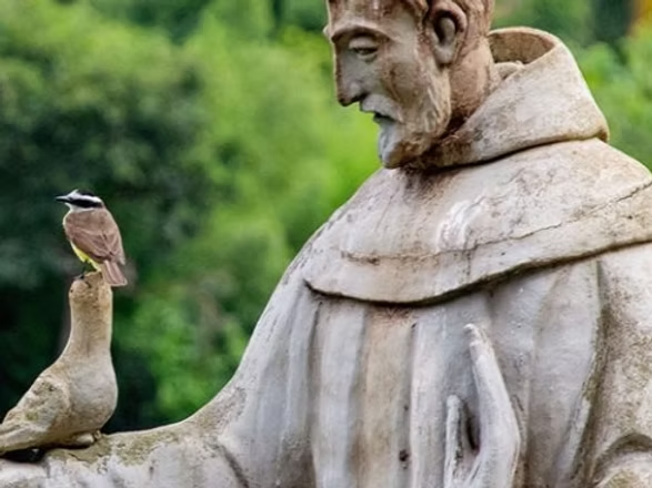 Francis talk to a bird