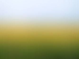 കൊറോണാ പാഠം...