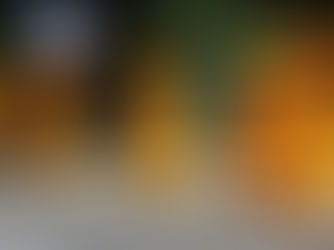 സന്ന്യസ്തരുടെ രഹസ്യജീവിതവും പരസ്യജീവിതവും
