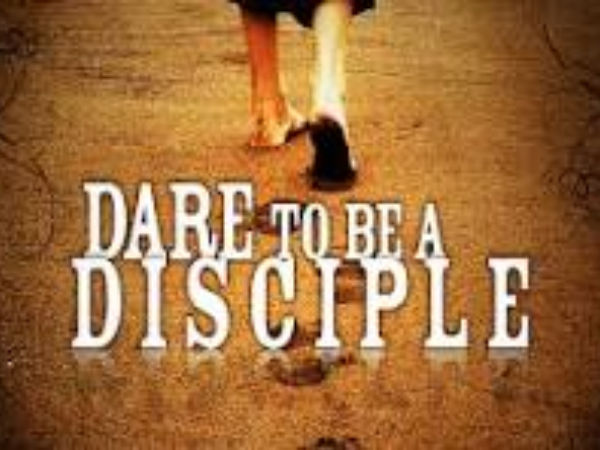 dare to be a discipline