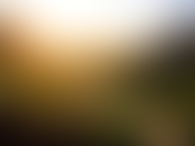 പിരി ലേശം ലൂസാ...