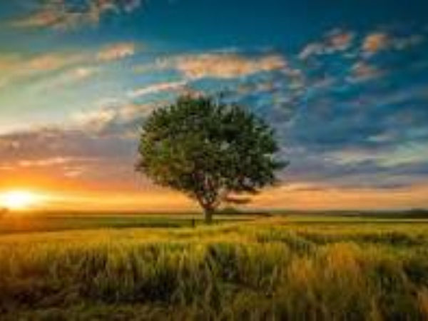 picture of nature