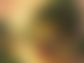 മഴമിത്രം