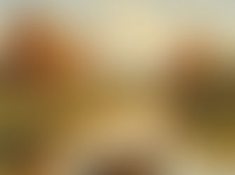 ഉത്തപ്പം പോയ ഉപ്പ്