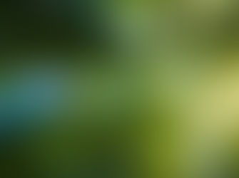 തേങ്ങാമുറിപോയാലും..