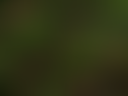 ദൈവം നമ്മോടു കൂടെ