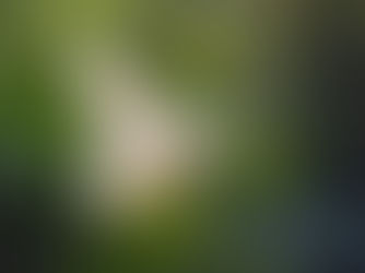 ഇടുക്കിപൊട്ടാഭിഷേകധ്യാനം'