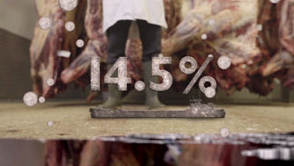 MEAT SEQ 02 IMAGE 03.jpg