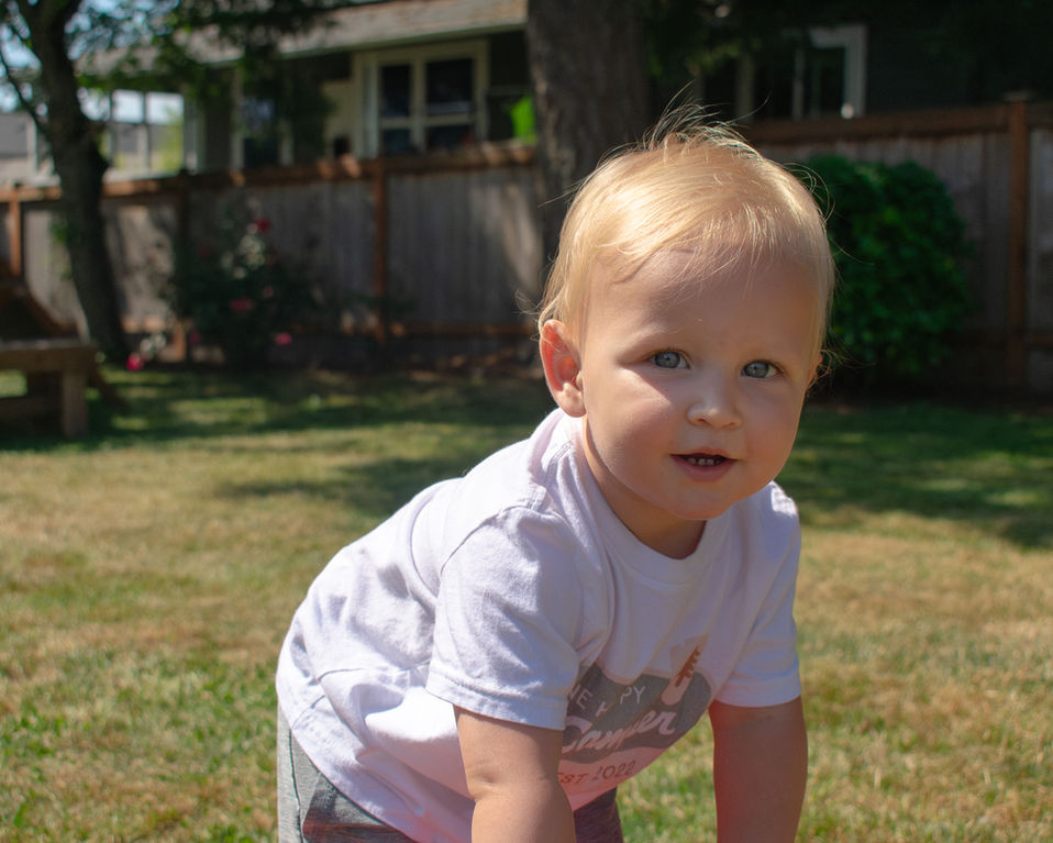 Toddler Crawling