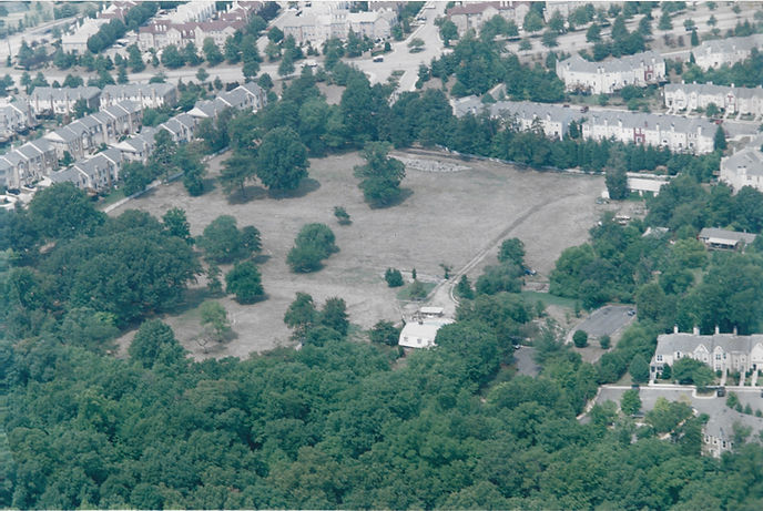 Landscape_edited.jpg